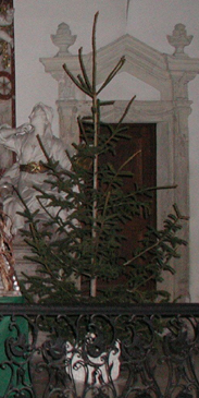 Christbaum