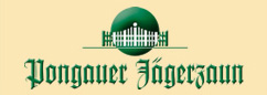 Logo Pongauer